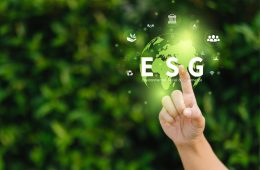 businesswomen-touch-world-organization-sustainable-development-environmental-sustainable-busines